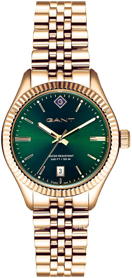 Gant G136011 Sussex Ø34mm